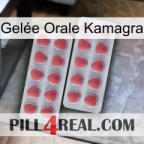 Gelée Orale Kamagra 19